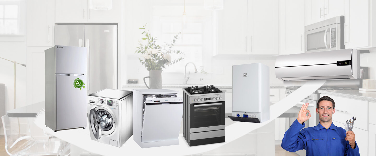 Akçadağ Electrolux Servisi